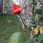 Flor De Pomar Vakantiehuis *