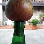 Flor De Pomar Vakantiehuis Corao