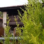 Flor De Pomar