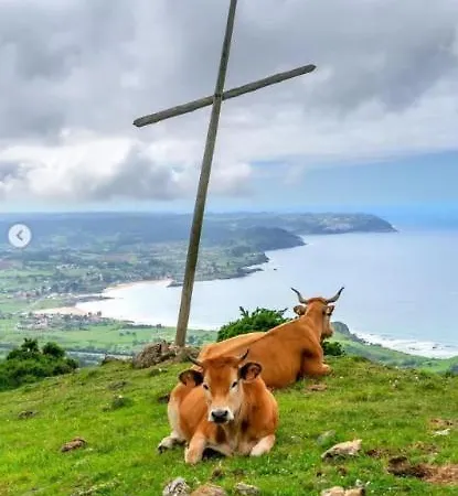 Σπίτι διακοπών Flor De Pomar *