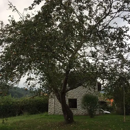 Flor De Pomar Holiday home *