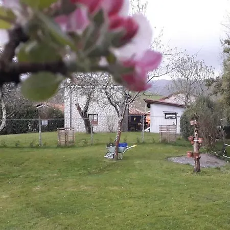 Flor De Pomar Holiday home Corao