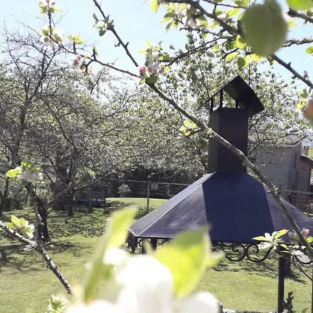 Flor De Pomar Holiday home Corao