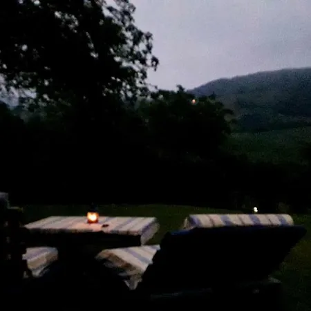 Flor De Pomar Holiday home *