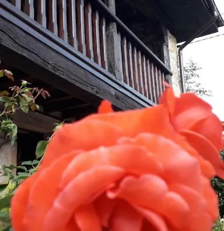 Flor De Pomar Сasa de vacaciones