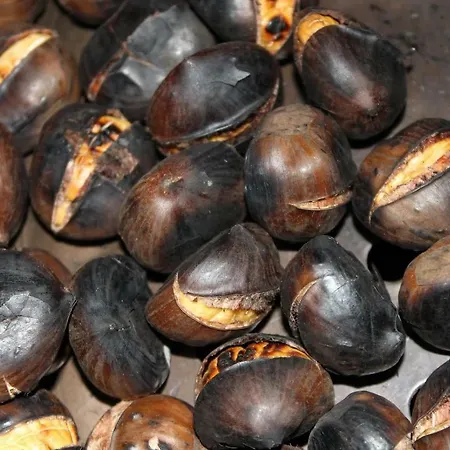 Flor De Pomar Σπίτι διακοπών Corao