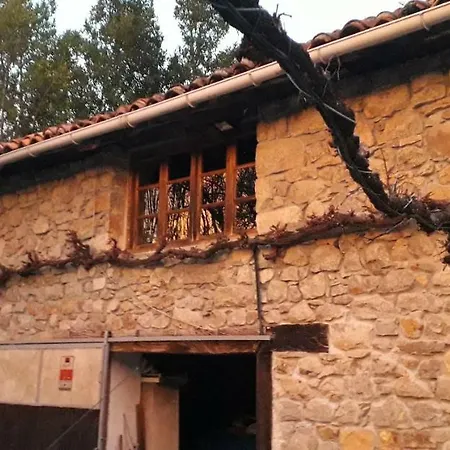 Flor De Pomar