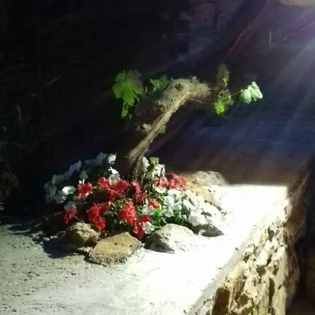 Flor De Pomar