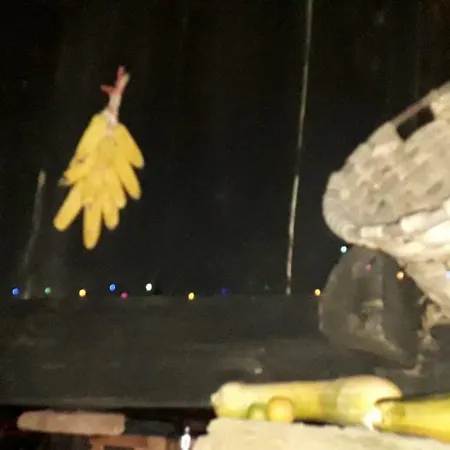 Flor De Pomar بيت للعطل Corao