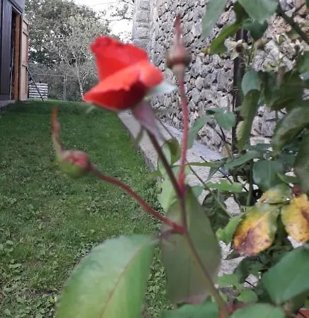 Flor De Pomar Сasa de vacaciones *