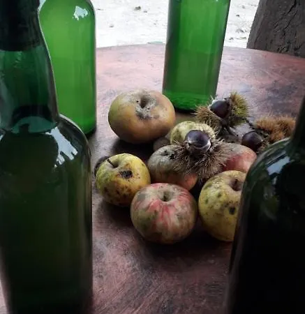 Сasa de vacaciones Flor De Pomar *