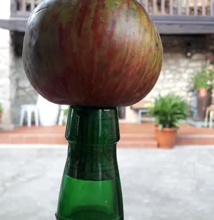 Flor De Pomar بيت للعطل Corao