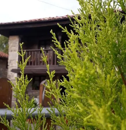 Flor De Pomar