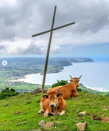 Dom wakacyjny Flor De Pomar *