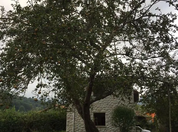 Flor De Pomar Hébergement de vacances *