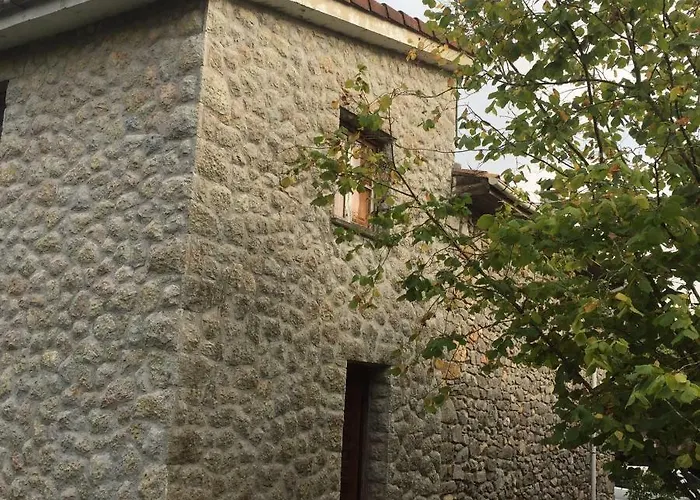 Dom wakacyjny Flor De Pomar