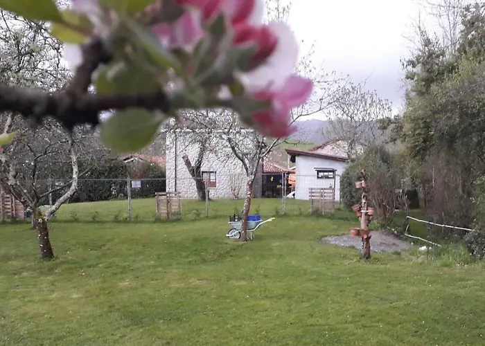 Flor De Pomar Vakantiehuis Corao