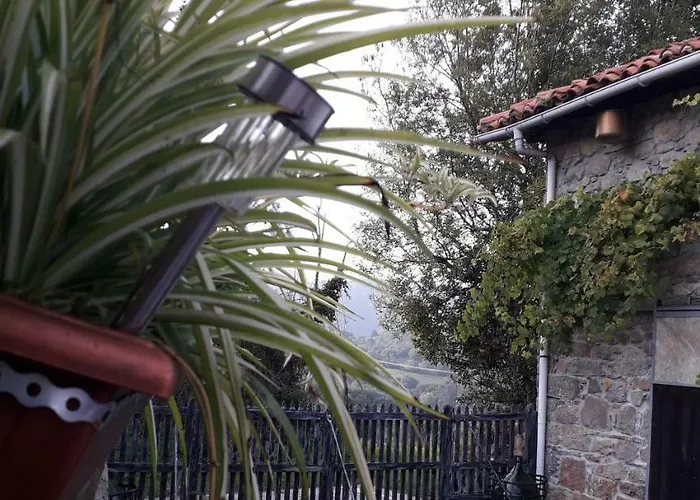 Flor De Pomar * Corao