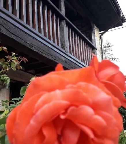 Flor De Pomar Dom wakacyjny