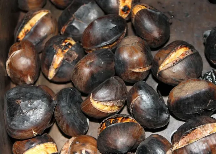 Flor De Pomar Dom wakacyjny Corao