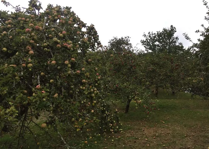 Flor De Pomar * Corao