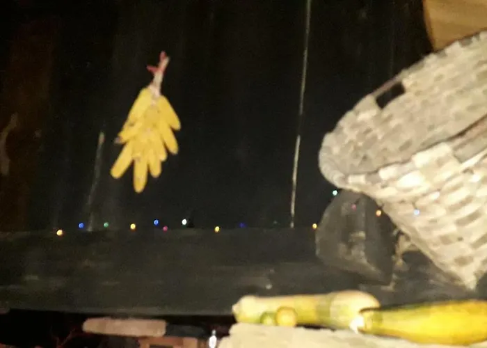 Flor De Pomar Hébergement de vacances Corao