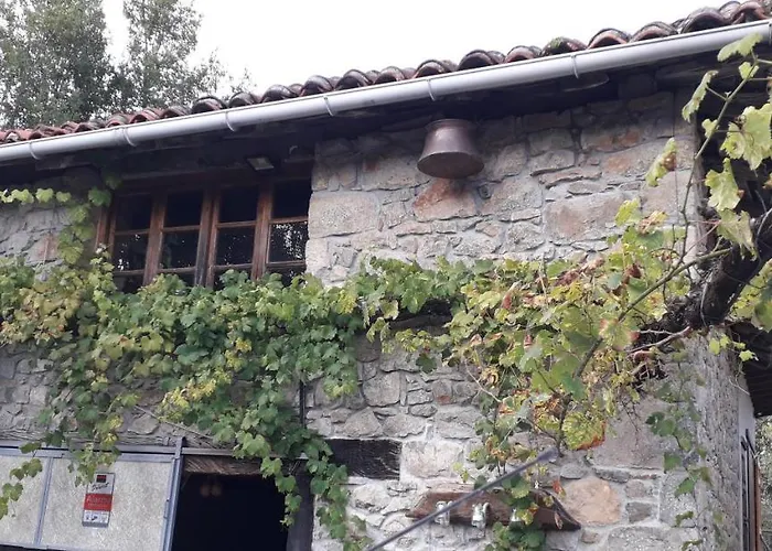 Dom wakacyjny Flor De Pomar