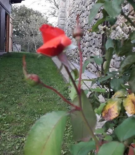 Flor De Pomar Dom wakacyjny *