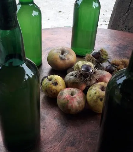 Dom wakacyjny Flor De Pomar *