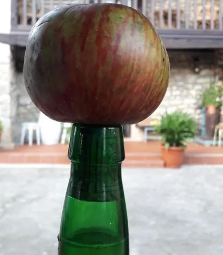 Flor De Pomar Dom wakacyjny Corao